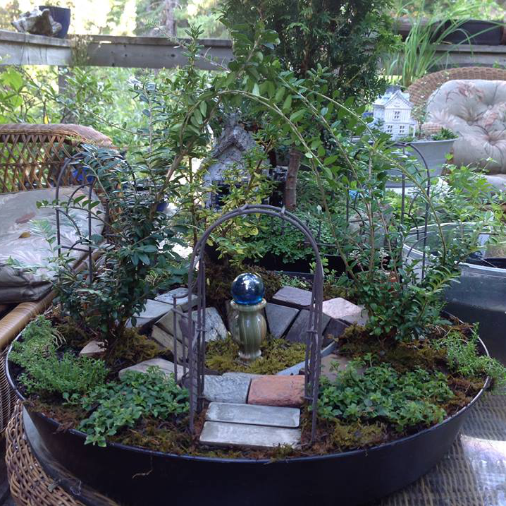 Thumbnail for Arches Garden.