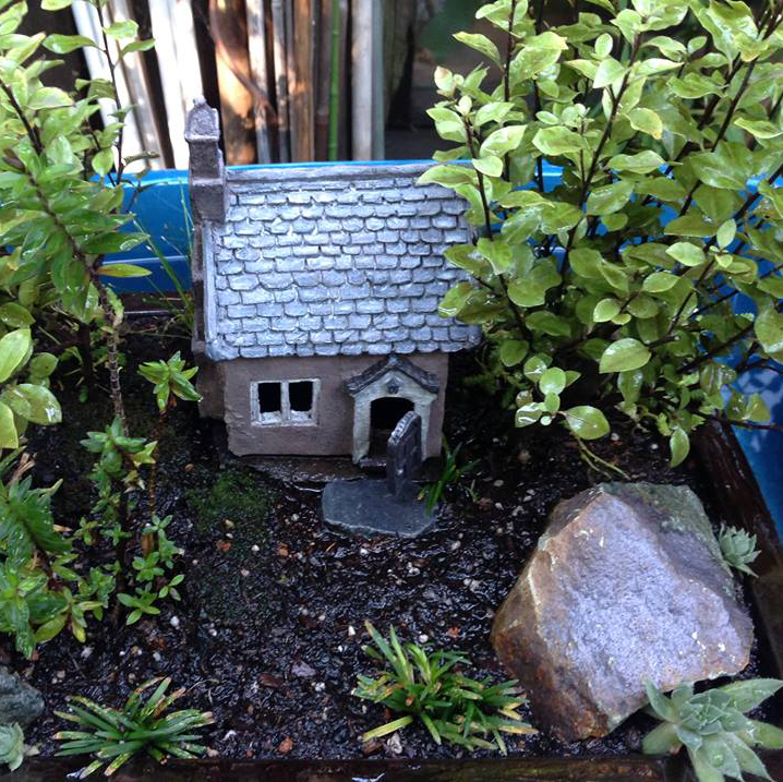 Thumbnail for Amorpha with Bucklins Cottage Garden.