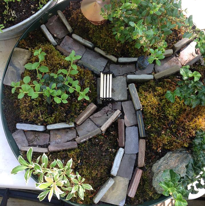 Thumbnail for Deep Paths Garden.