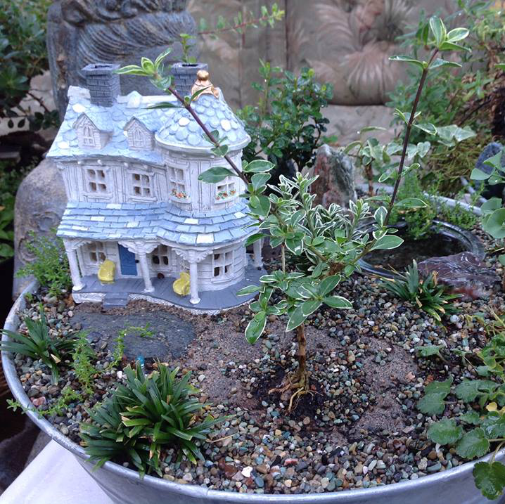 Thumbnail for Farmhouse Garden.