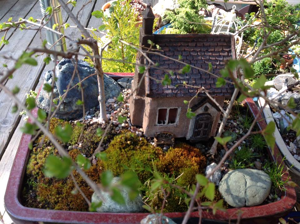Image of Averys in the Elms Garden.