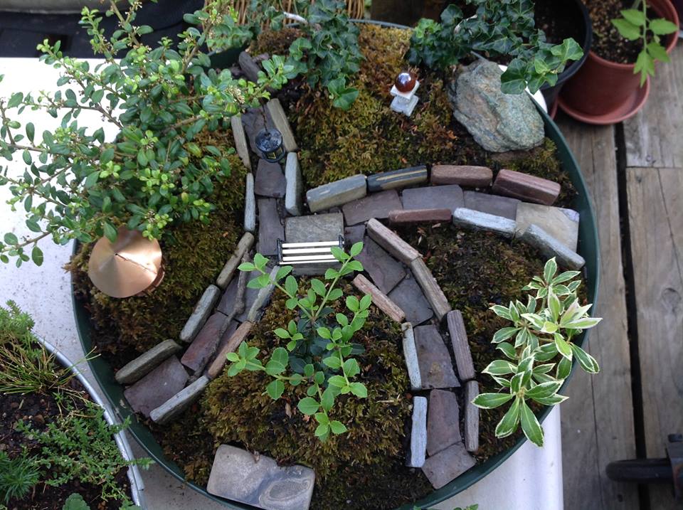 Image of Deep Paths Garden.