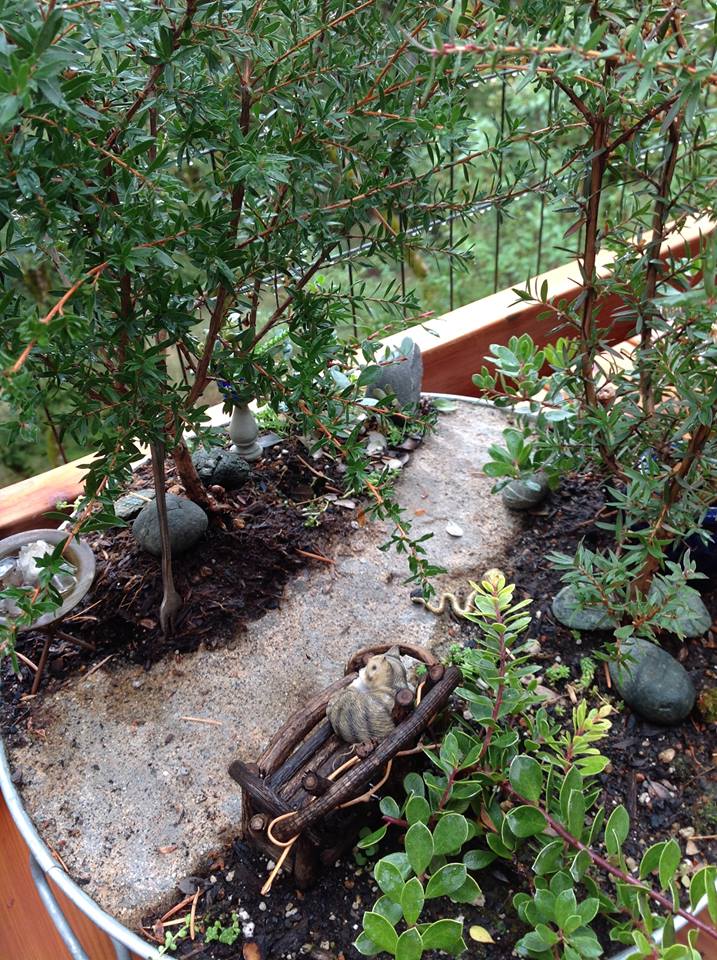 Image of Dream Path II Garden.