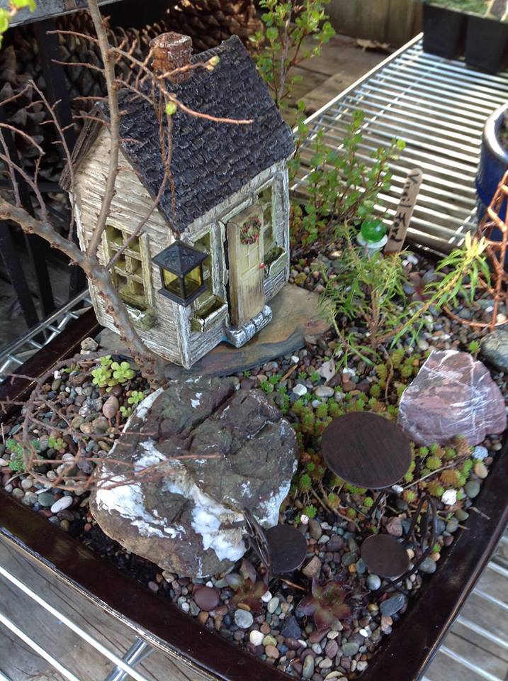 Image of Elm, Birch, and Andromeda Garden.