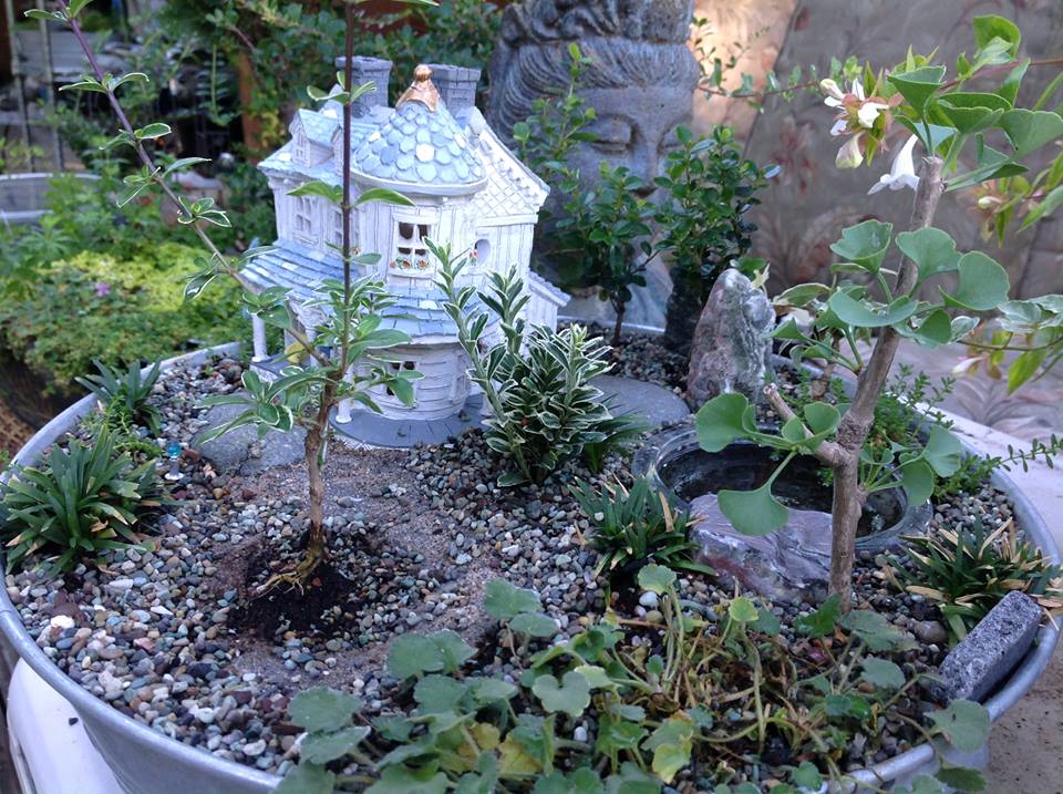 Image of Arches Garden.