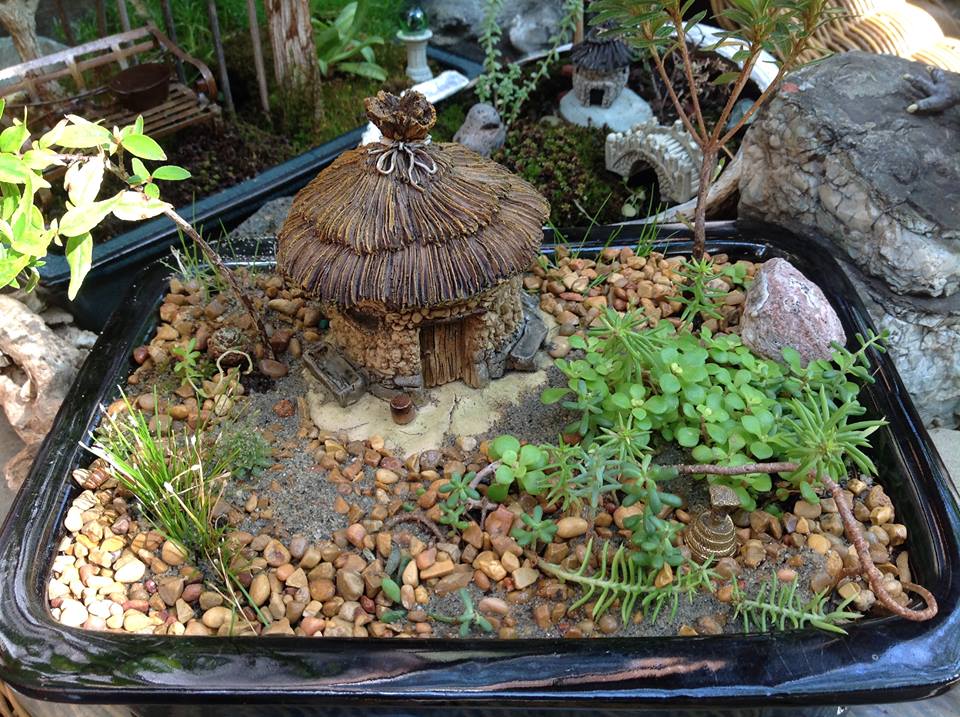 Image of Serissa with Thatched Roof Hut Garden.