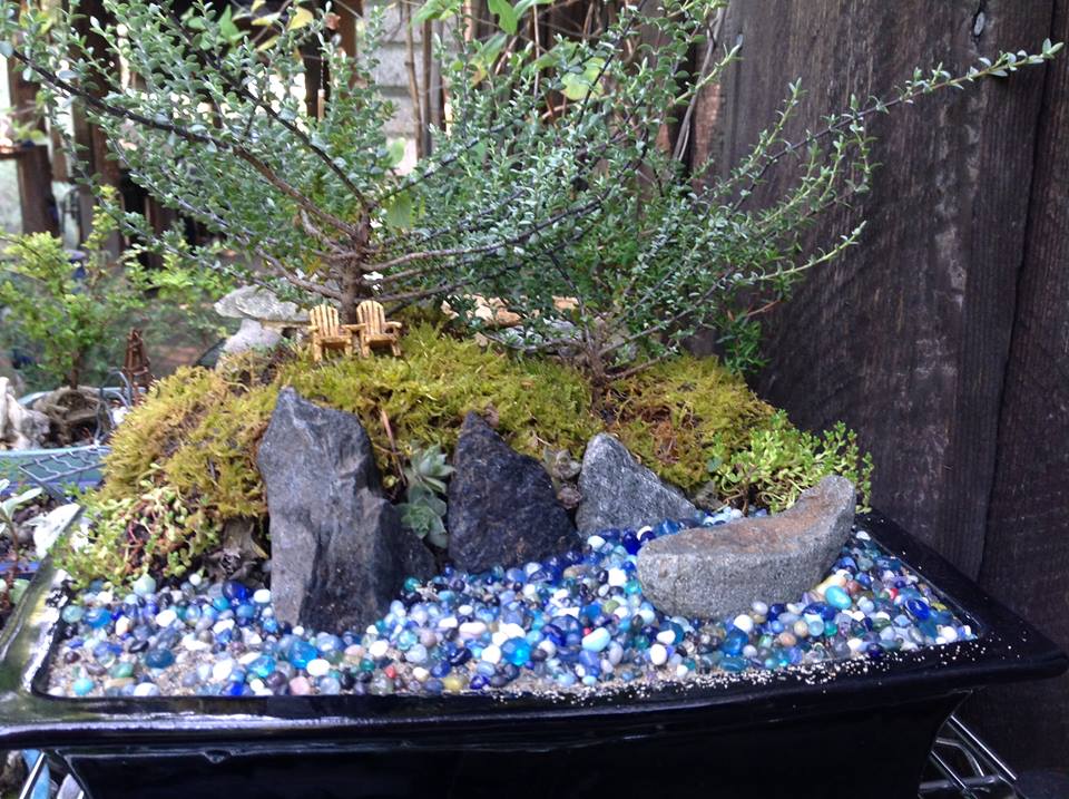 Image of Windswept Oceanside Garden.